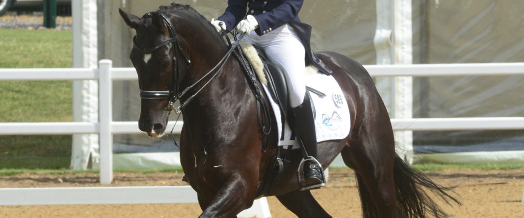 Dressage victorious with Aloeride