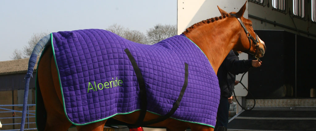Travelling Your Horse In Safety