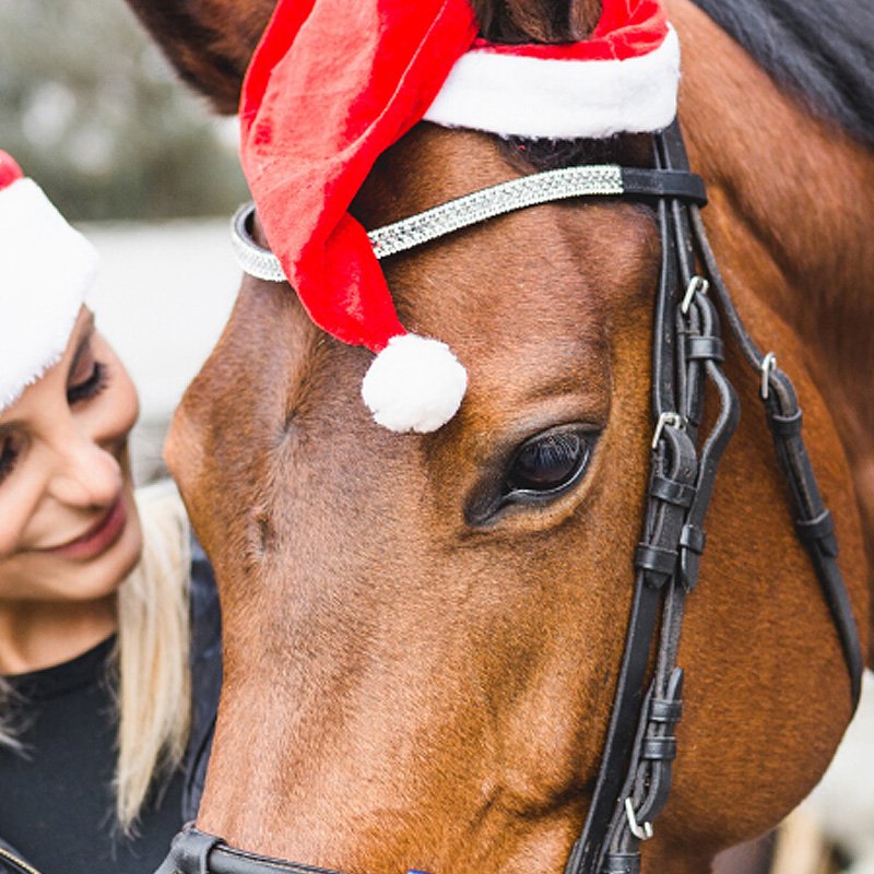 6 Horsey Things To Do This December