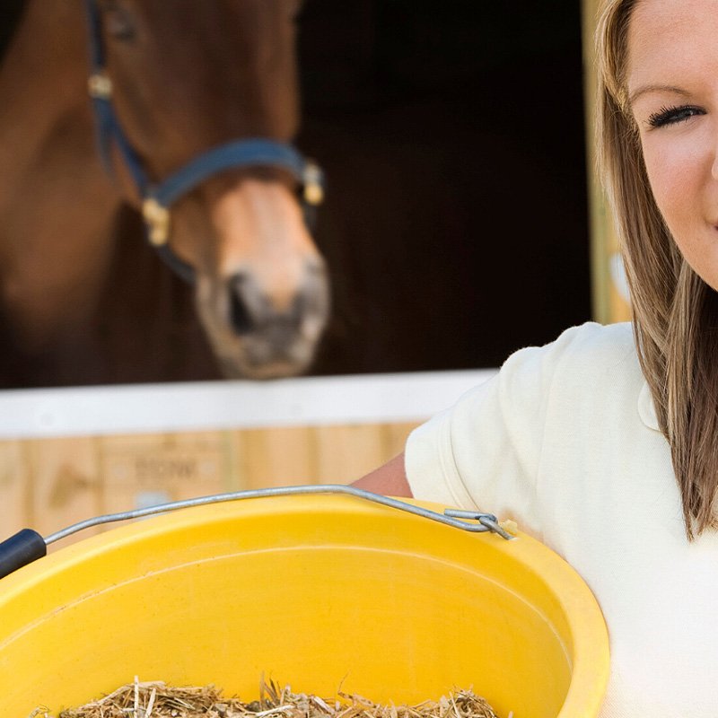 Horse feed supplements and does your horse need them during lockdown
