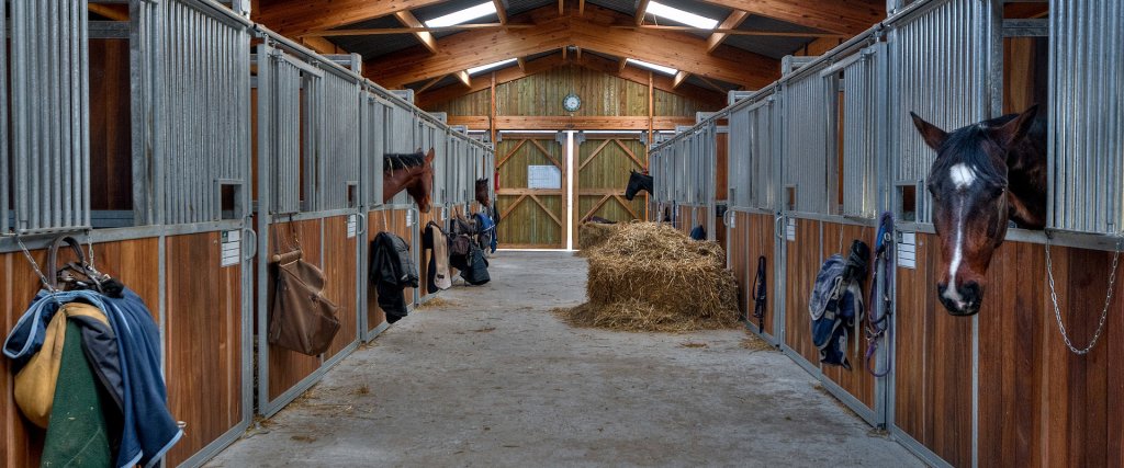 Stabling horses use Aloeride aloe vera