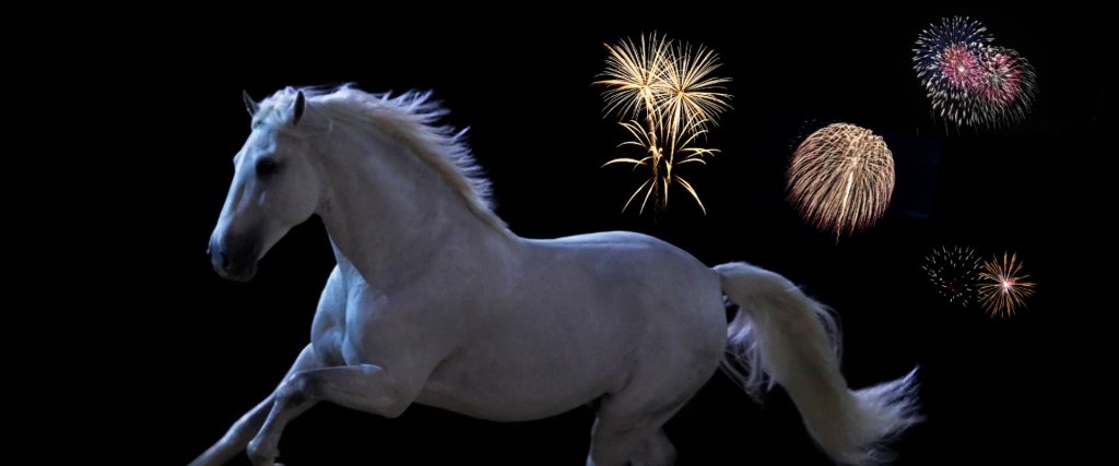 Tips On How To Look After Your Horse On Bonfire Night