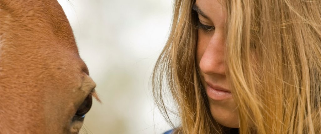 8 Ways To Keep Your Horse Healthy