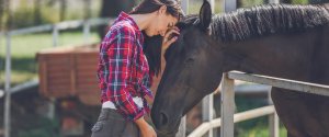 Five Training Tips For Horse Riders
